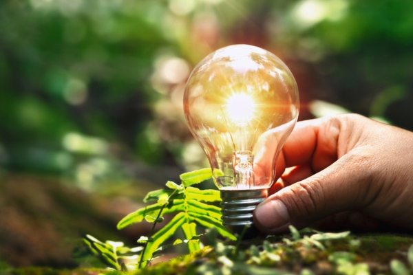 lightbulb on soil depicting clean & sustainable energy