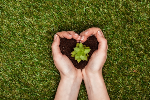 heart shaped soil on hand with a sprout depicting environmental footprint